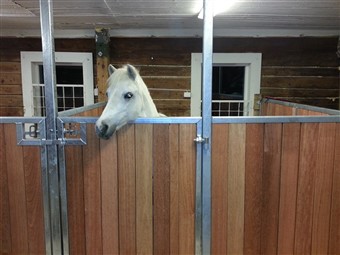 Ponybokse med hårdttræ